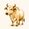 A2 Gir Cow Milk